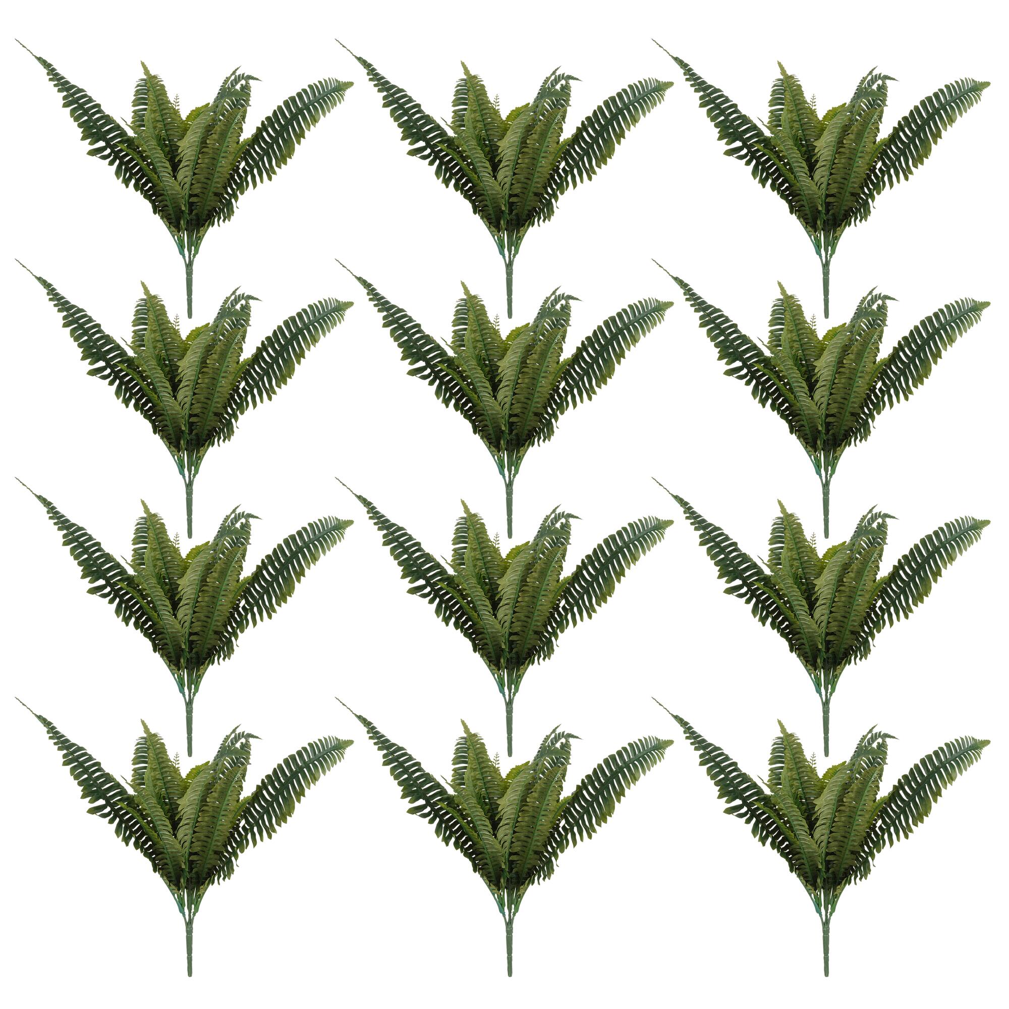 16 Pack: Boston Fern Bush by Ashland®